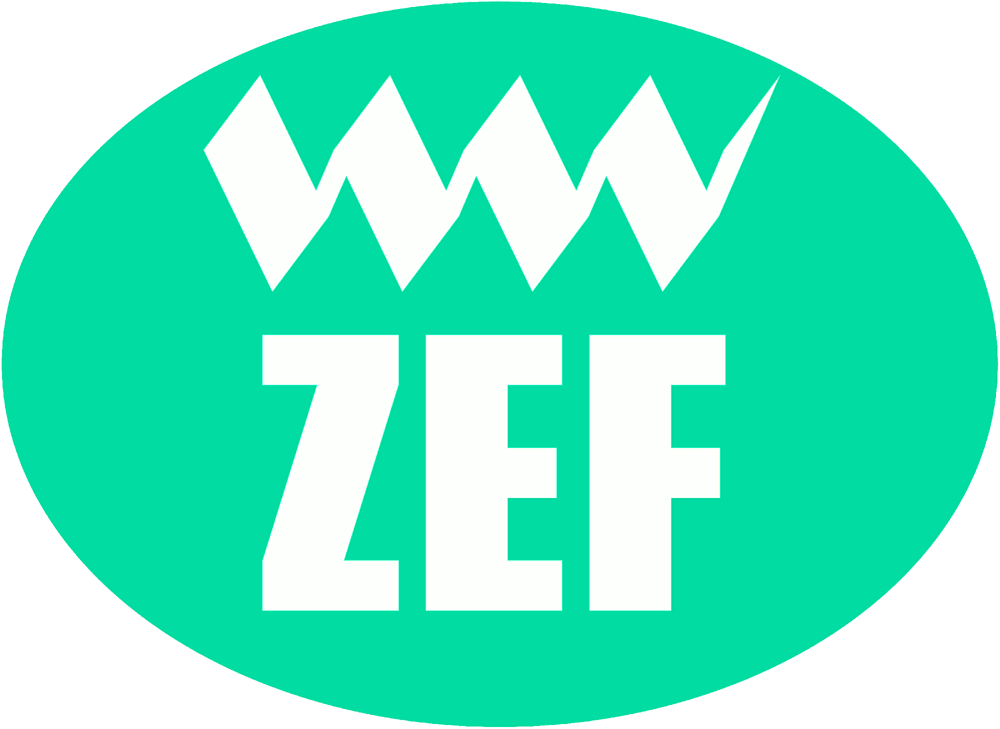 Zhangjiagang Zhangyang Filters Co.,Ltd.