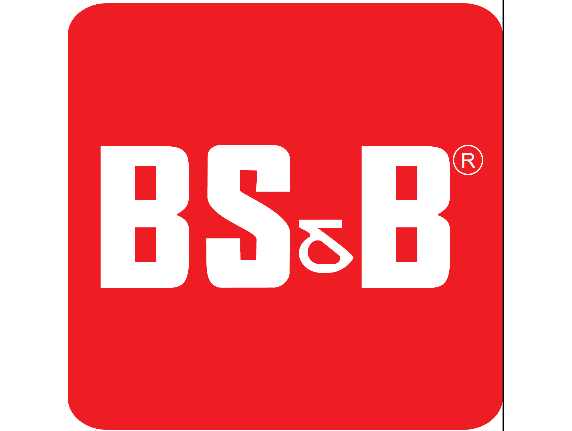 BS&B Safety System